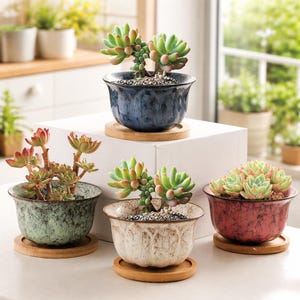 Juego de macetas de cerámica para suculentas, mini macetas con esmalte jaspeado y platillos de bambú (juego de 4)