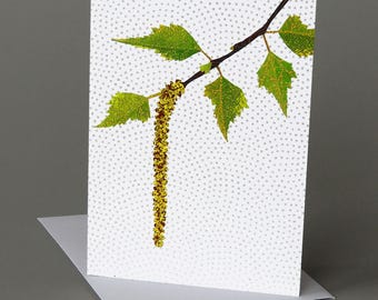 Birch Catkin: A nature inspired blank notecard, spring, vermont