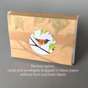 Ski Tracks: A boxed set of 10 nature inspired holiday cards, plastic free packaging skip the box!