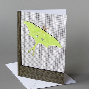 Luna Moth: A nature inspired blank notecard