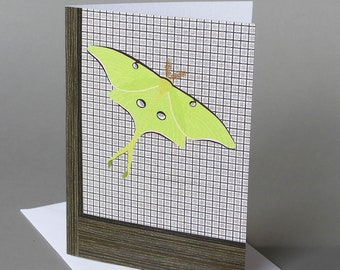 Luna Moth: A nature inspired blank notecard