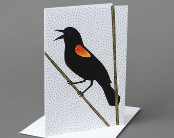 Red Winged Blackbird: A nature inspired blank notecard to celebrate spring