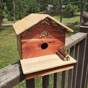 Simple family for one rustic cedar and pine birdhouse