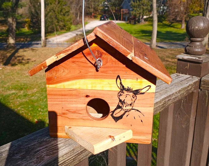 Rustic cedar laughing hand painted donkey birdhouse with wedge front porch