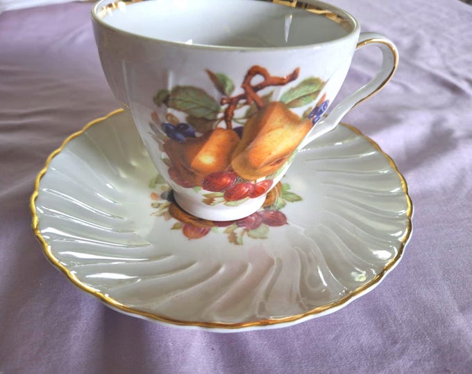 Vintage Old Nuremburg Fruit cup and saucer set from Bavaria Germany
