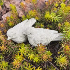 May include: Two small, light gray concrete bird figurines rest among vibrant green and yellow foliage. The birds are detailed with visible feathers and beaks, creating a naturalistic garden ornament.