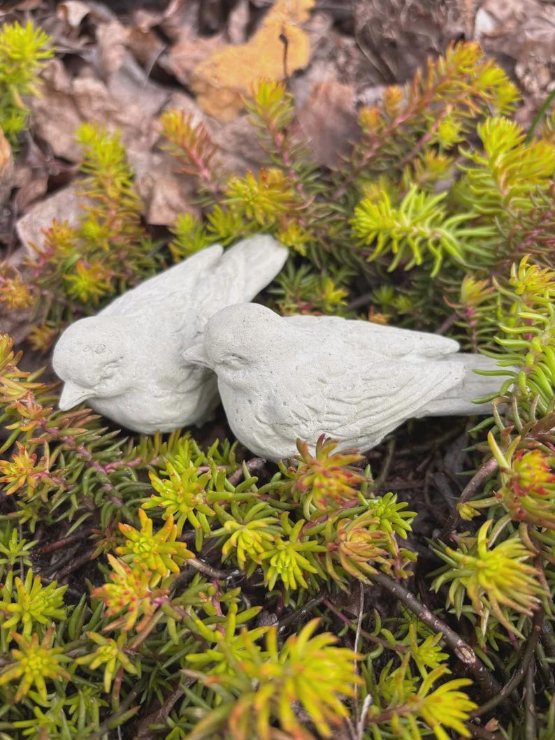 May include: Two small, light gray concrete bird figurines rest among vibrant green and yellow foliage. The birds are detailed with visible feathers and beaks, creating a naturalistic garden ornament.