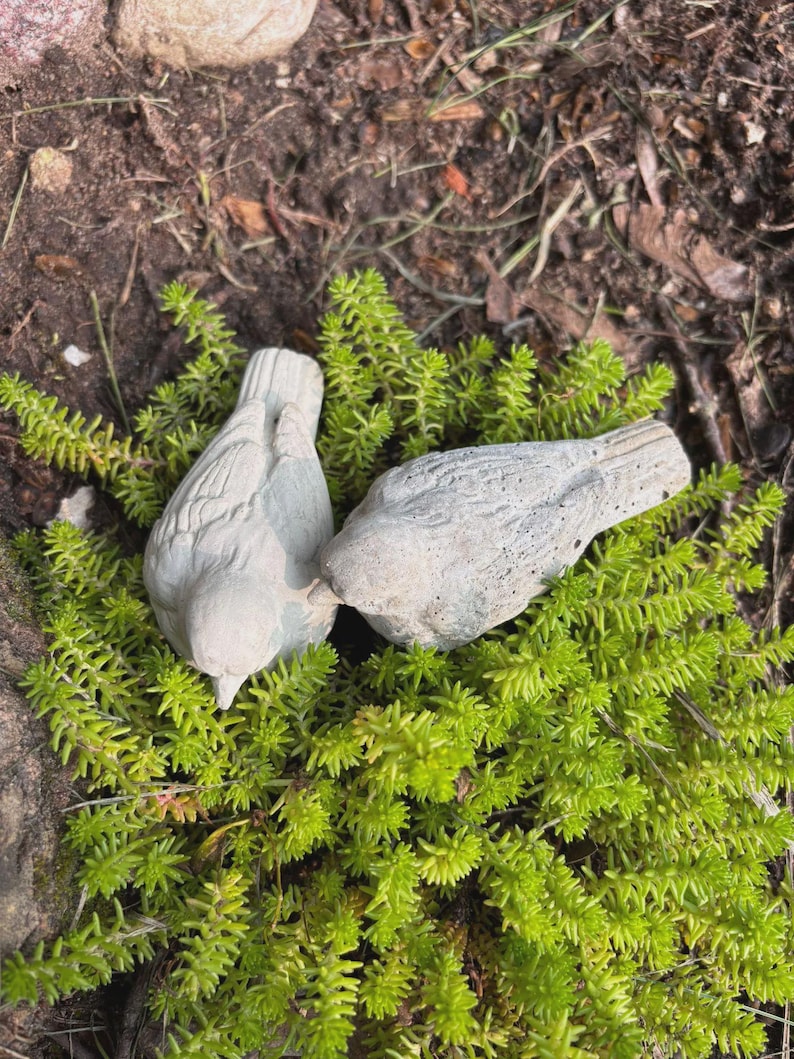 May include: Two gray concrete bird figurines rest on a bed of bright green ground cover. The birds are detailed with textured feathers and are positioned close together, suggesting interaction. The scene is set outdoors, with a natural, earthy backdrop.