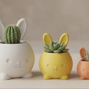 May include: Three round ceramic planters shaped like rabbits in descending sizes. The largest is white with a green cactus, the medium is yellow with a green succulent, and the smallest is orange with a spiky air plant. Each has ears and a face.