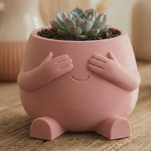 May include: A matte pink planter shaped like a rounded figure with two arms covering its eyes and two small feet at the base. The planter features a simple etched smile and contains a green succulent plant potted in dark soil within the top opening.
