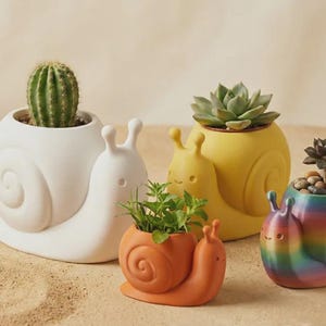 May include: Four snail-shaped planters in different colors and sizes. One large white planter holds a green cactus, a medium yellow planter holds a succulent, a small orange planter holds green herbs, and a small rainbow-striped planter holds a dark succulent.