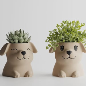 May include: Two beige ceramic dog-shaped planters with painted black facial features. The left planter features a succulent with pointed leaves, while the right planter holds a leafy green plant with small, delicate foliage and wide eyes.
