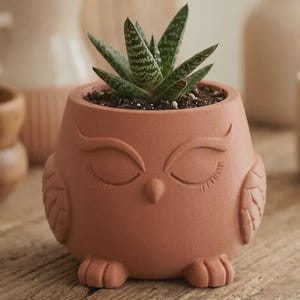 May include: A terracotta-colored planter shaped like an owl with closed eyes, etched eyelashes, and wings on the sides. The planter holds a small green succulent plant with white speckled patterns on its pointed leaves, set in dark potting soil.