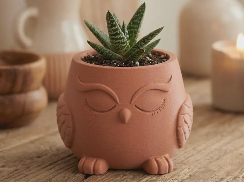 May include: A terracotta-colored planter shaped like an owl with closed eyes, etched eyelashes, and wings on the sides. The planter holds a small green succulent plant with white speckled patterns on its pointed leaves, set in dark potting soil.