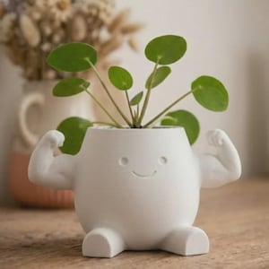 May include: A white ceramic planter shaped like a character with muscular arms flexed in a pose, a simple smiling face, and two small feet. The planter holds a green Pilea peperomioides plant with round leaves extending from the top opening.