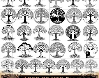 Tree of Life SVG-bundel, Keltische boom svg png, stamboom svg Cricut, levensboom clipart, spirituele boom SVG, mandala boom png, digitaal