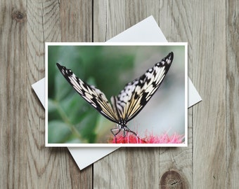 Blank Butterfly Card, Blank Greeting Cards, Unique Cards for Any Occasion, Just Because Card, Butterflies, Pollinators, Garden Cards