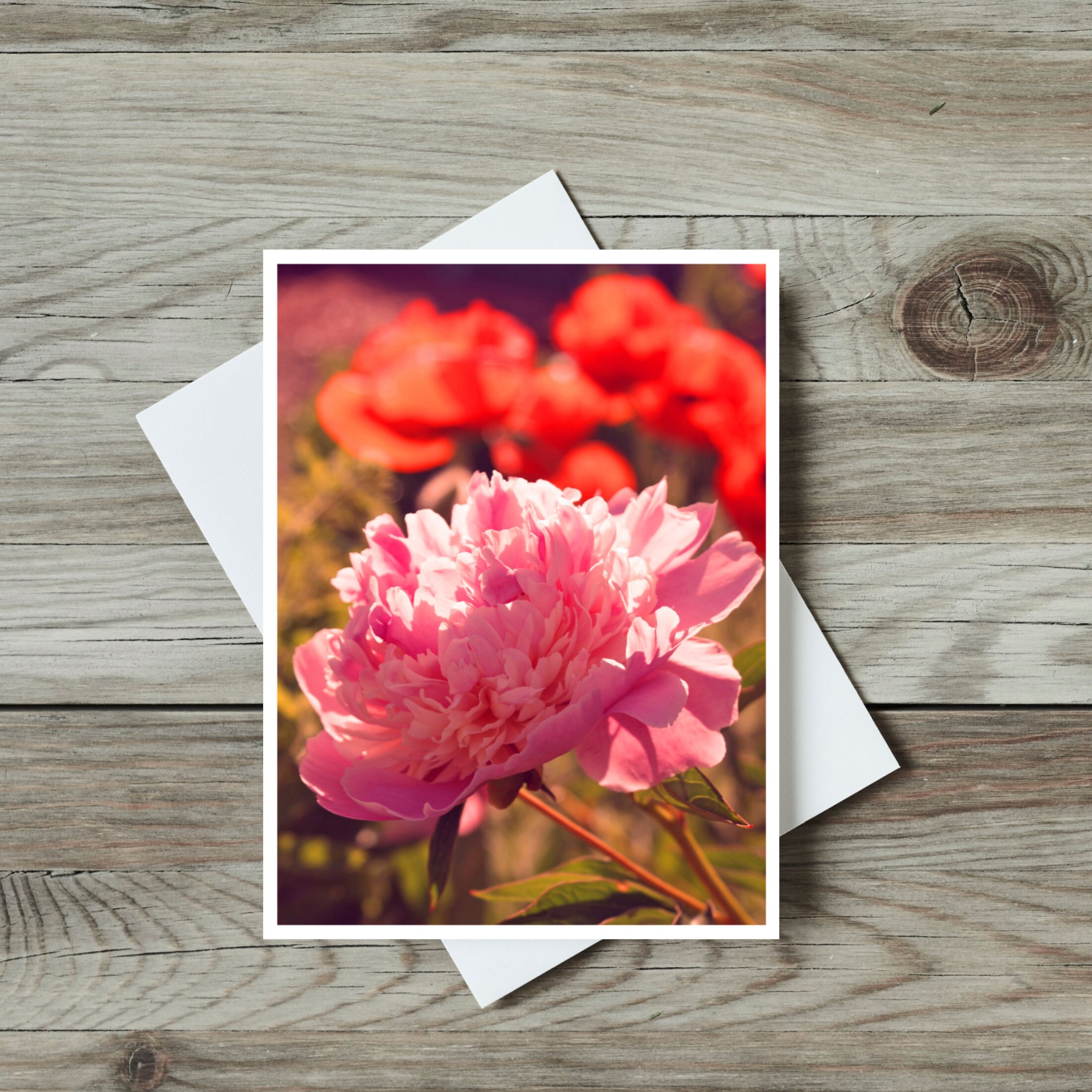 Blank Card Peony Greeting Card For Any Occasion and Anyone Etsy