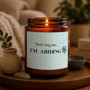 Può includere: Una candela accesa in un barattolo di vetro ambrato con un'etichetta a quadretti bianchi e azzurri che recita "Don't bug me... I'M ABIDING" con un motivo floreale. La candela è su un vassoio di legno con un piccolo vaso e una pietra.