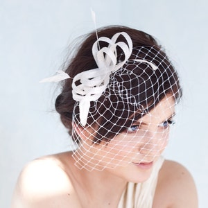 Bridal fascinator with birdcage veil and feathers, wedding millinery headpiece image 1