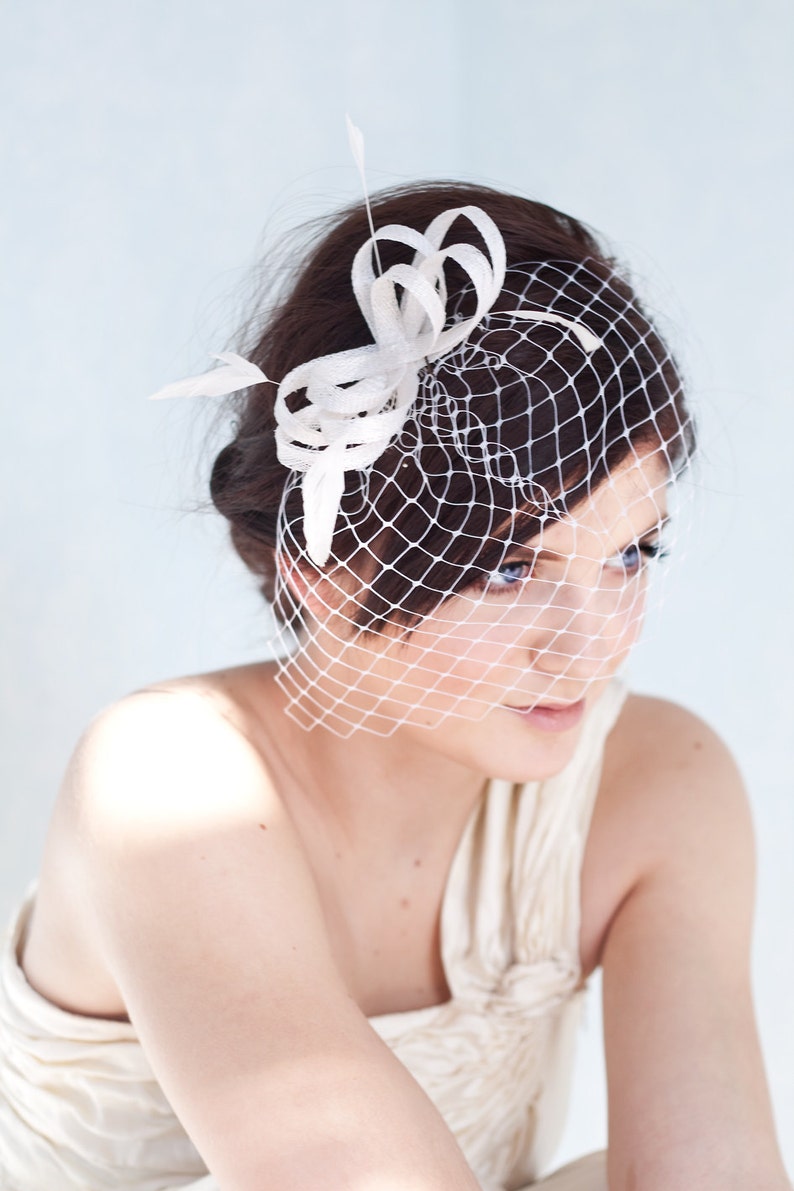 Bridal fascinator with birdcage veil and feathers, wedding millinery headpiece image 1