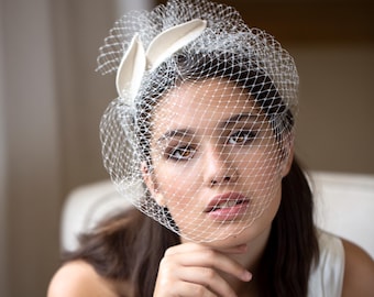 Bridal Birdcage Veil with Leaves Petals on comb – petals Wedding Headpiece with short bridal face veil