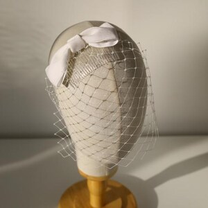 Bruidsvogelkooi met vrouwelijke fluwelen strik, vintage fluwelen lint op korte gezichtssluier voor een klassieke bruid, gemeentehuisbruiloft afbeelding 6