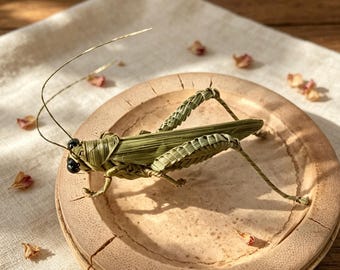 Saltamontes tejido a mano, insecto miniatura hecho a mano, figura rústica de hierba, decoración de mesa ecológica, acento para el hogar bohemio, objeto de colección natural