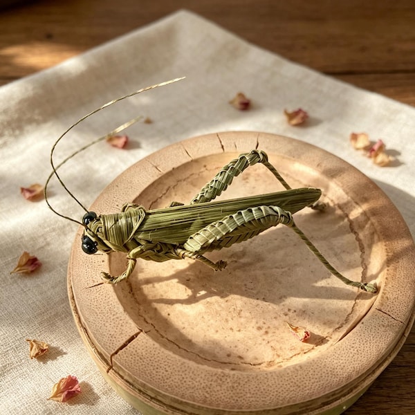 Handwoven Grasshopper, Handmade Miniature Insect, Rustic Grass Figurine, Eco-Friendly Table Decor, Boho Home Accent, Natural Collectible