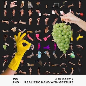 Op de afbeelding: Een verzameling van verschillende handgebaren en -posities, waaronder een hand met een gele handschoen die het "oké"-teken maakt. Een tros groene druiven wordt door een hand vastgehouden. De tekst onderaan luidt "159 PNG REALISTIC HAND WITH GESTURE < CLIPART >".