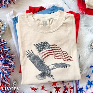 USA 250th Anniversary Eagle Flag Shirt, Patriotic America Freedom Tee, Vintage Bald Eagle Graphic, Comfort Colors® USA Gift Tee