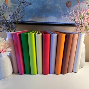 May include: A row of eleven vertical planners or notebooks in a spectrum of solid colors including light pink, magenta, green, lime, cream, red, lavender, orange, brown, peach, and white, arranged side by side on a flat surface.
