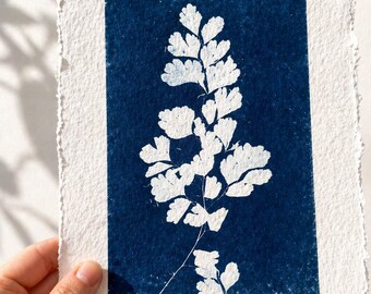 Scotland Wall Art – Blue Fern Botanical Print on Handmade Paper, Coastal Decor, Scottish Gift