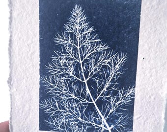 Impresión en cianotipo de Fife, arte botánico, papel hecho a mano, cuadro mural azul con motivos naturales tamaño A5.