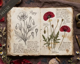 Poppy Field Dreams DELUXE Junk Journal Kit | Vintage Botanical Ephemera | Digital Download