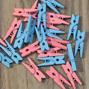 24 - 1&quot; Long Wooden Mini Clothespins in Blue AND Pink - Games/Gift Tags/Table Scatter/Decorations/Favors/Scrapbook  - Baby Shower
