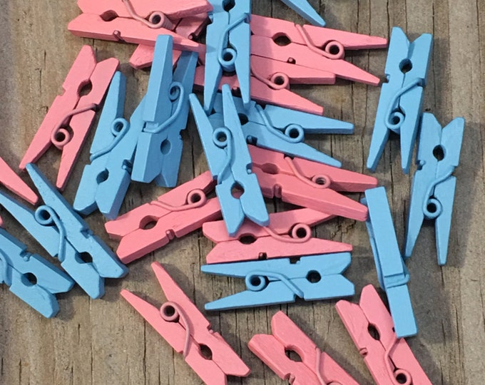 24 - 1" Long Wooden Mini Clothespins in Blue AND Pink - Games/Gift Tags/Table Scatter/Decorations/Favors/Scrapbook  - Baby Shower