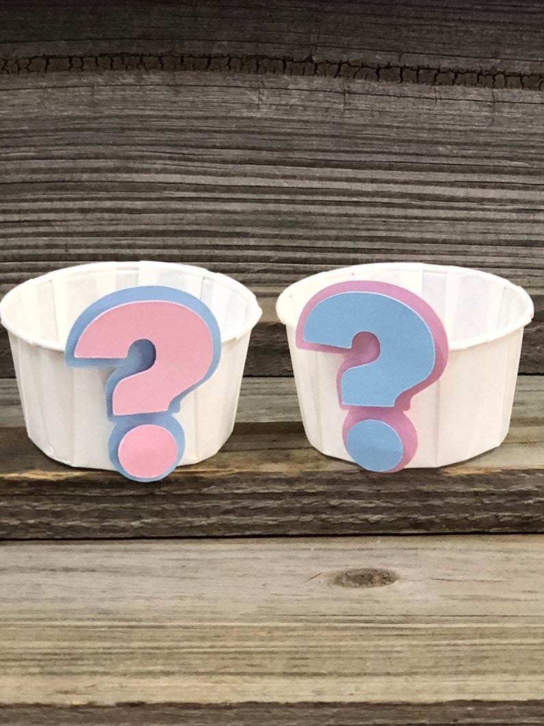 Set of 12 GENDER REVEAL Baby Pink and Baby Blue Question Etsy