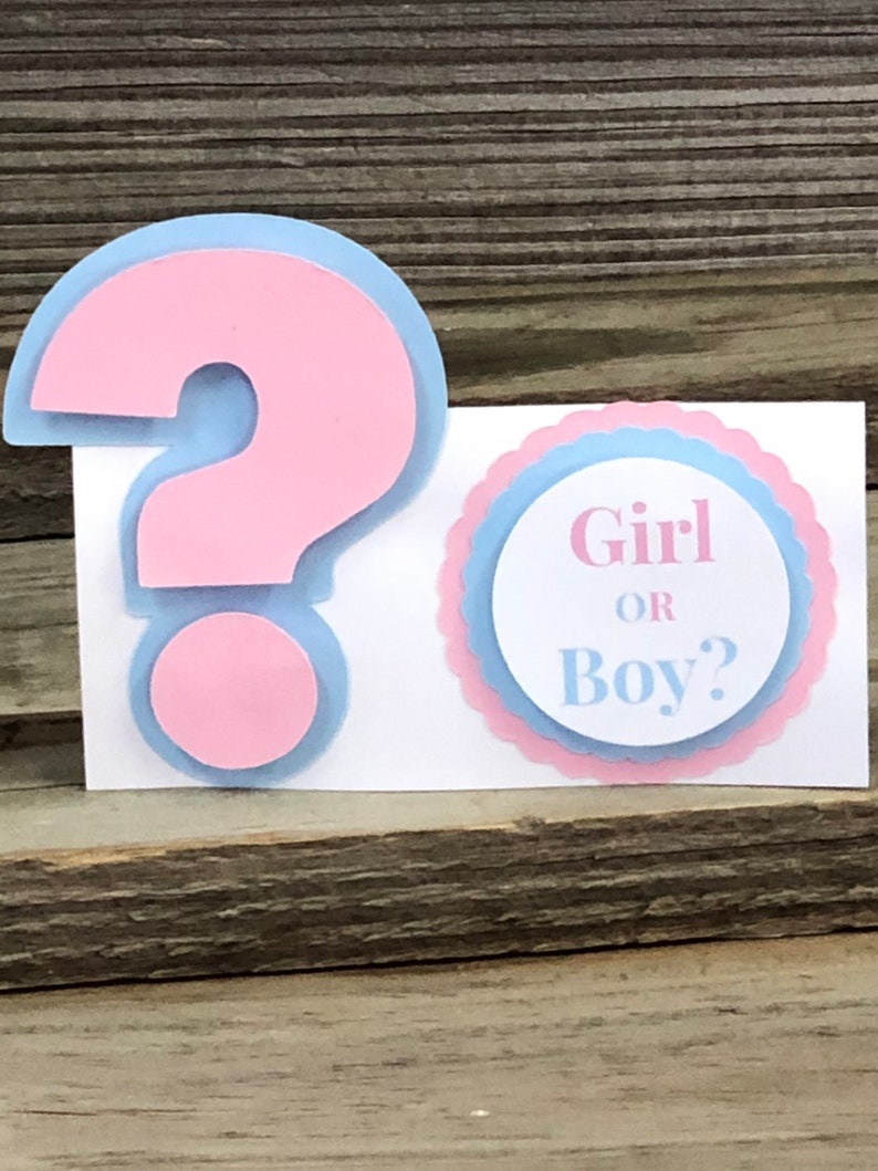 Set of 12 GENDER REVEAL Baby Pink and Baby Blue Question Mark Etsy