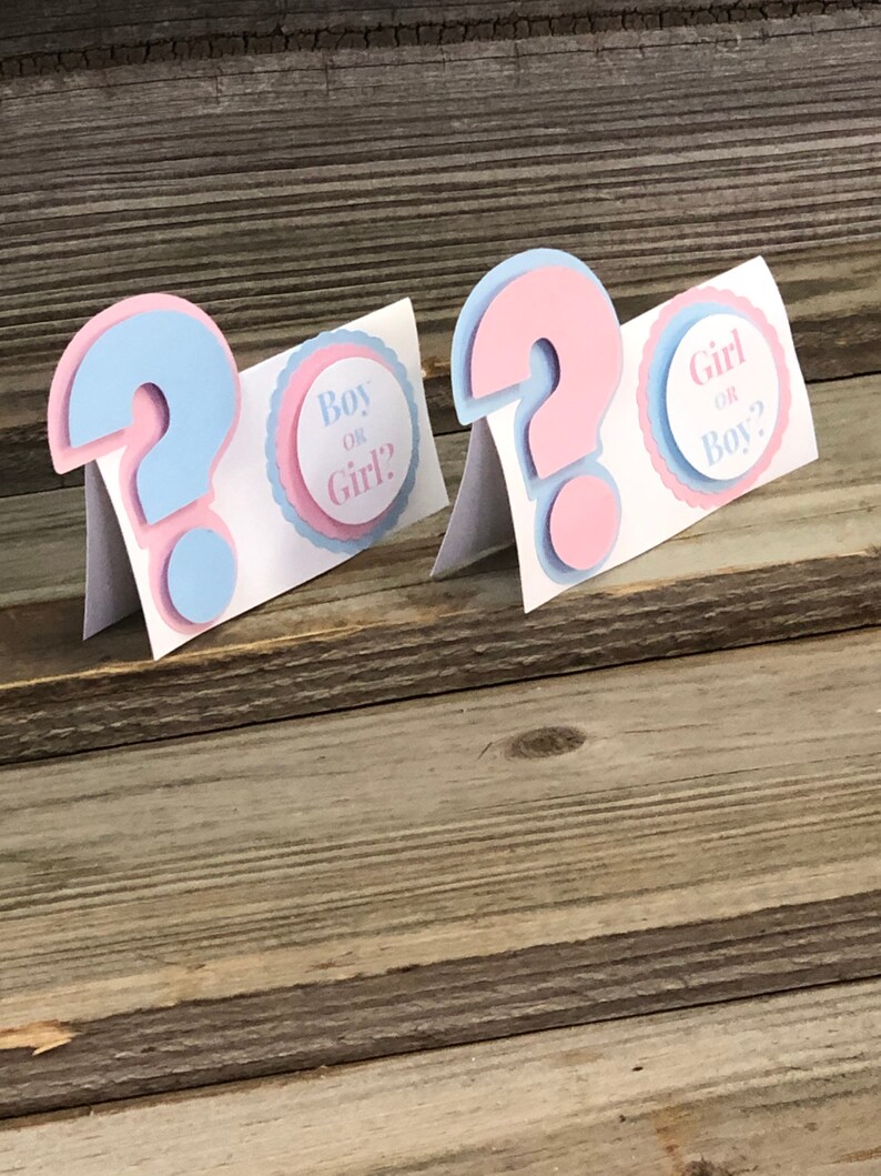 Set of 12 GENDER REVEAL Baby Pink and Baby Blue Question Mark Etsy