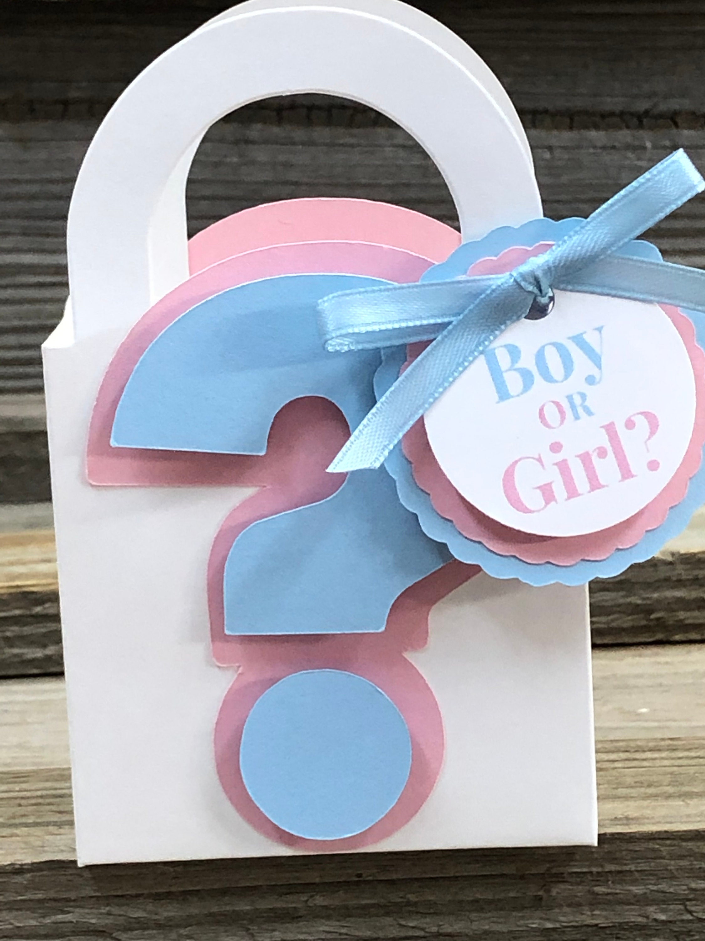 Set of 12 GENDER REVEAL Baby Pink and Baby Blue Question Mark Favor