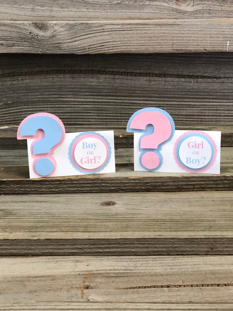 Set of 12 GENDER REVEAL Baby Pink and Baby Blue Question Mark Etsy