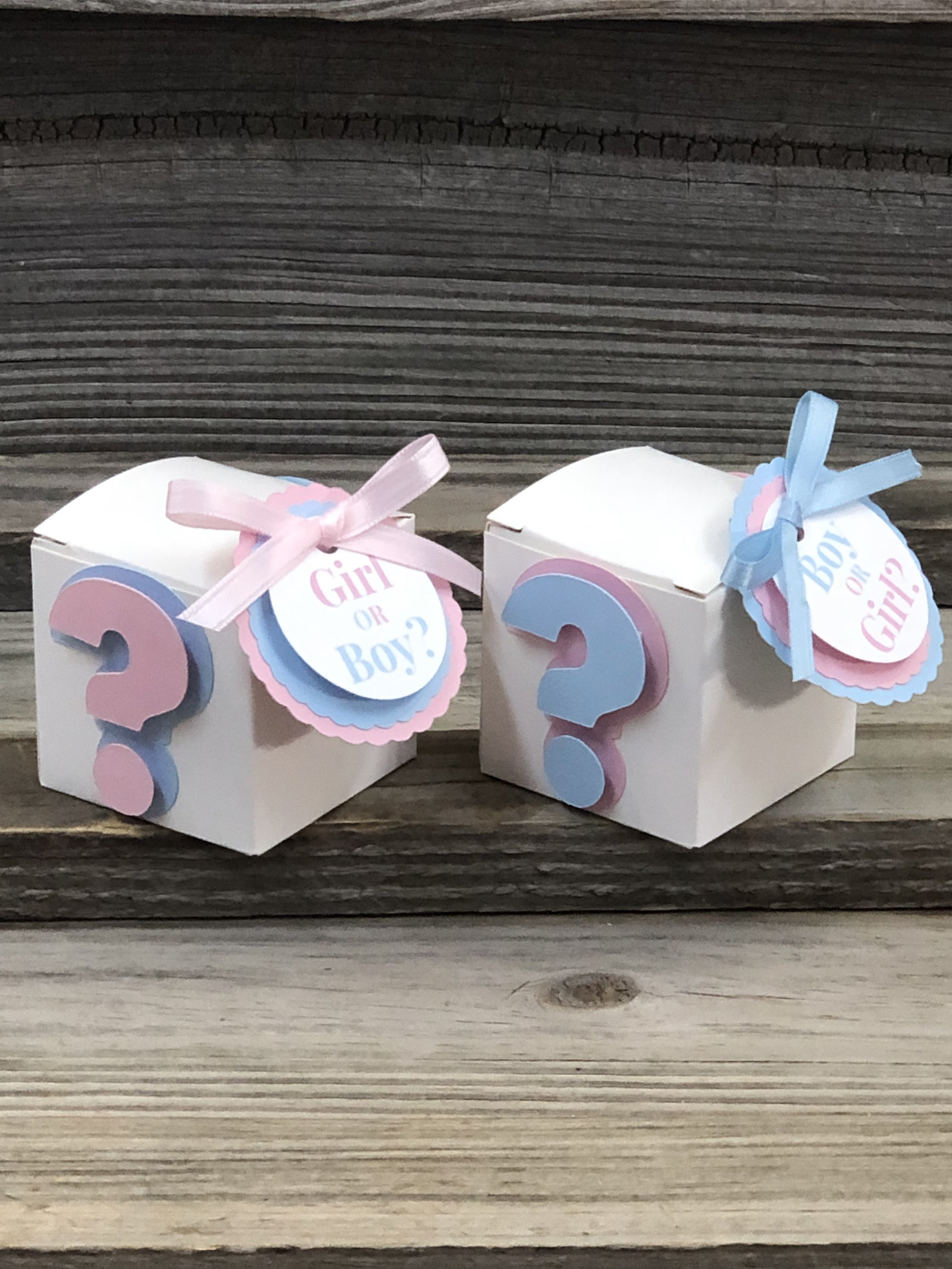 Set of 12 GENDER REVEAL Baby Pink and Baby Blue Question Mark Etsy