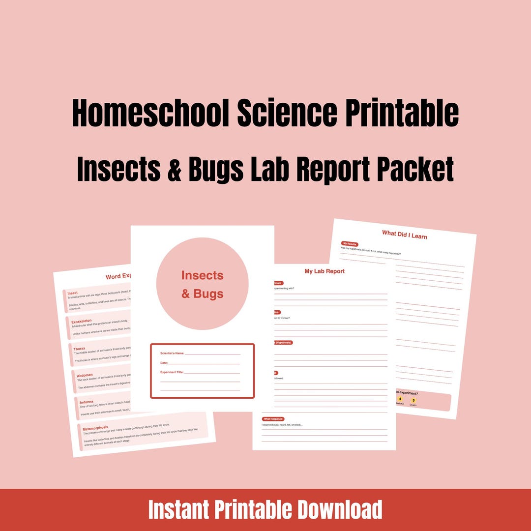 Homework Science Insects Homeschool Science Printable | Insects & Bugs Lab Report Packet | K-2 ...