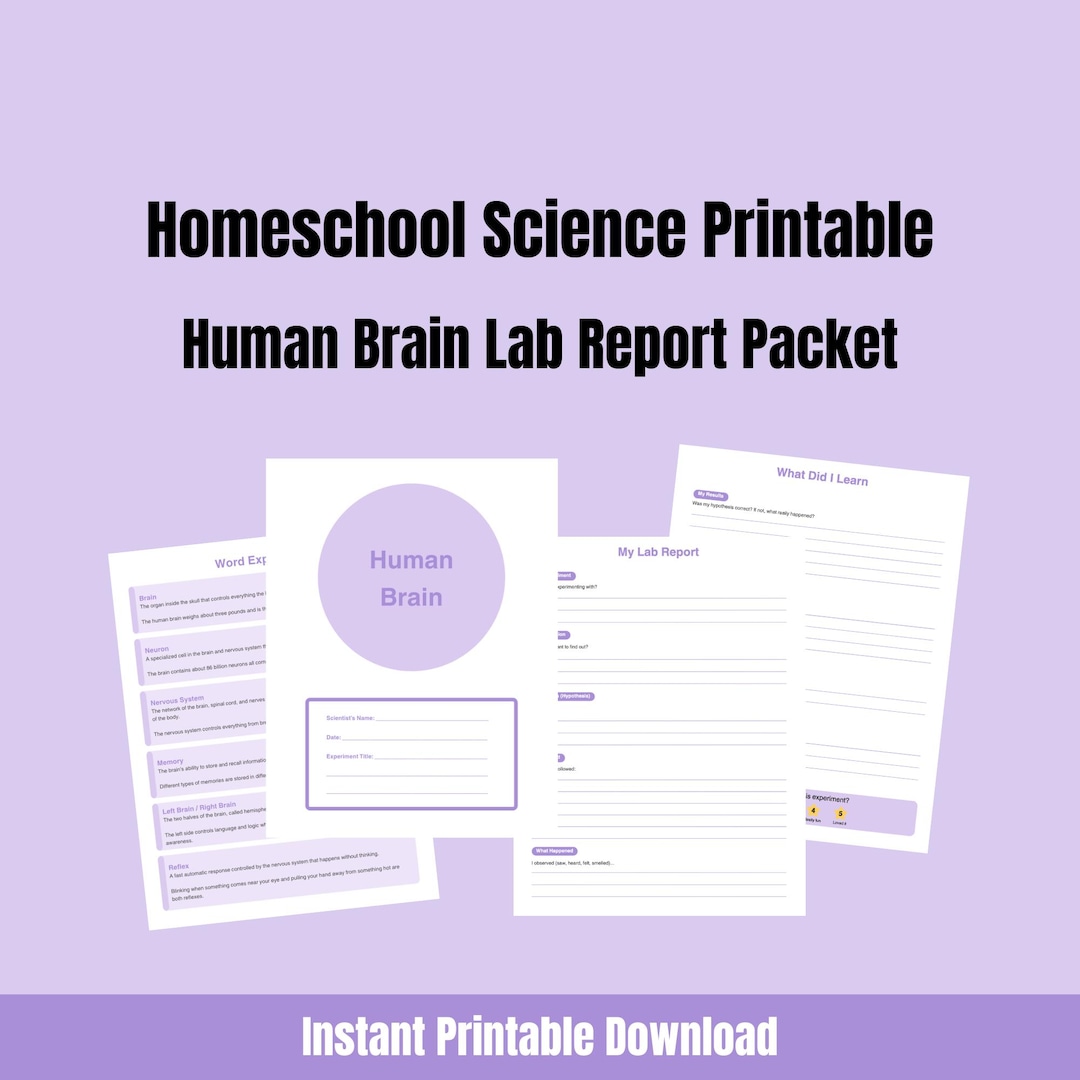Brain Lab Report Sample Homeschool Science Printable | Human Brain Lab Report Packet | K-2 ...