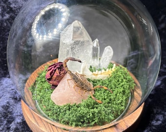 Golden Chinese Scorpio - Glass Dome, Mink Jaw, Clear And Rose Quartz, Rose Bud Oddities