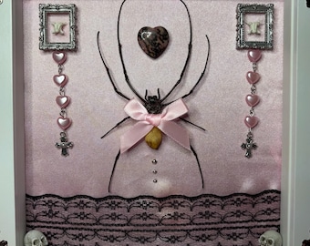 Orb Weaver Spider Taxidermy Frame - Pink Satin, Black Lace, Snake Vertebrae, Skulls Oddities Creepycute