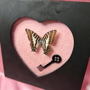 May include: A framed butterfly display featuring a brown and white butterfly set against a pink background within a heart-shaped cutout. A black key is positioned below the butterfly. The frame is black.