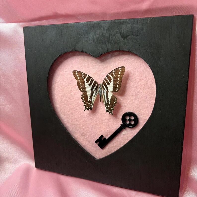 May include: A framed butterfly display. The black frame has a heart-shaped cutout revealing a pink background. A butterfly with brown and white wings and a black key are affixed to the pink backing.
