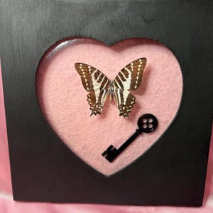 May include: A framed butterfly display. The black frame has a heart-shaped cutout, revealing a pink background. A butterfly with brown and white patterned wings is centered, with a black key-shaped accent below.